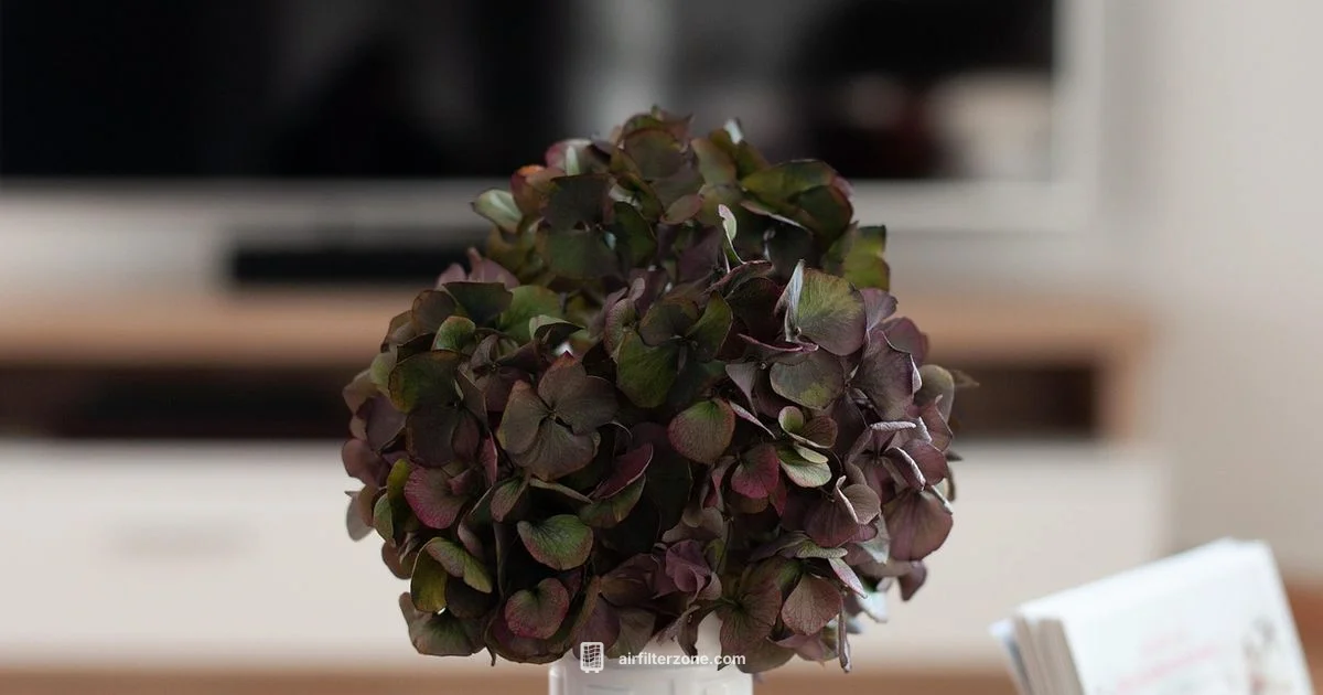 Air Purifier and Plants Air Purifier and Plants - Air Filter Zone