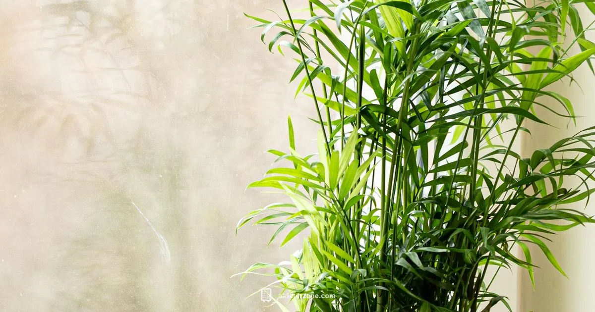 Healthy Indoor Air - Air Filter Zone