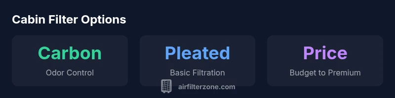 Infographic showing carbon, pleated, and price variety for cabin air filters