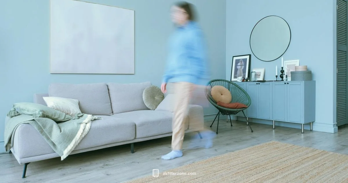 Blue Air 311 Review - Air Filter Zone