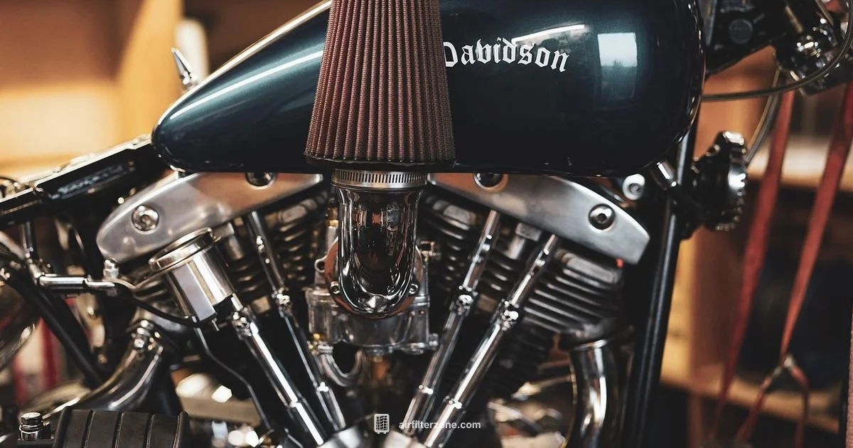 Bike Air Filter Bike Air Filter - Air Filter Zone