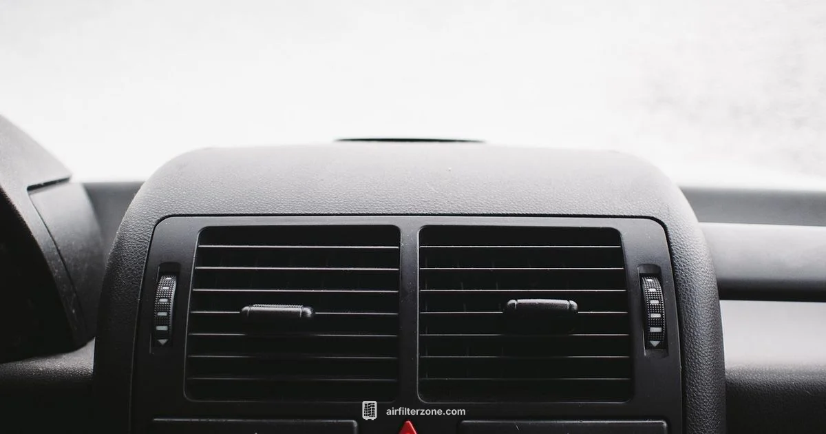 Cabin Filter Care Guide - Air Filter Zone