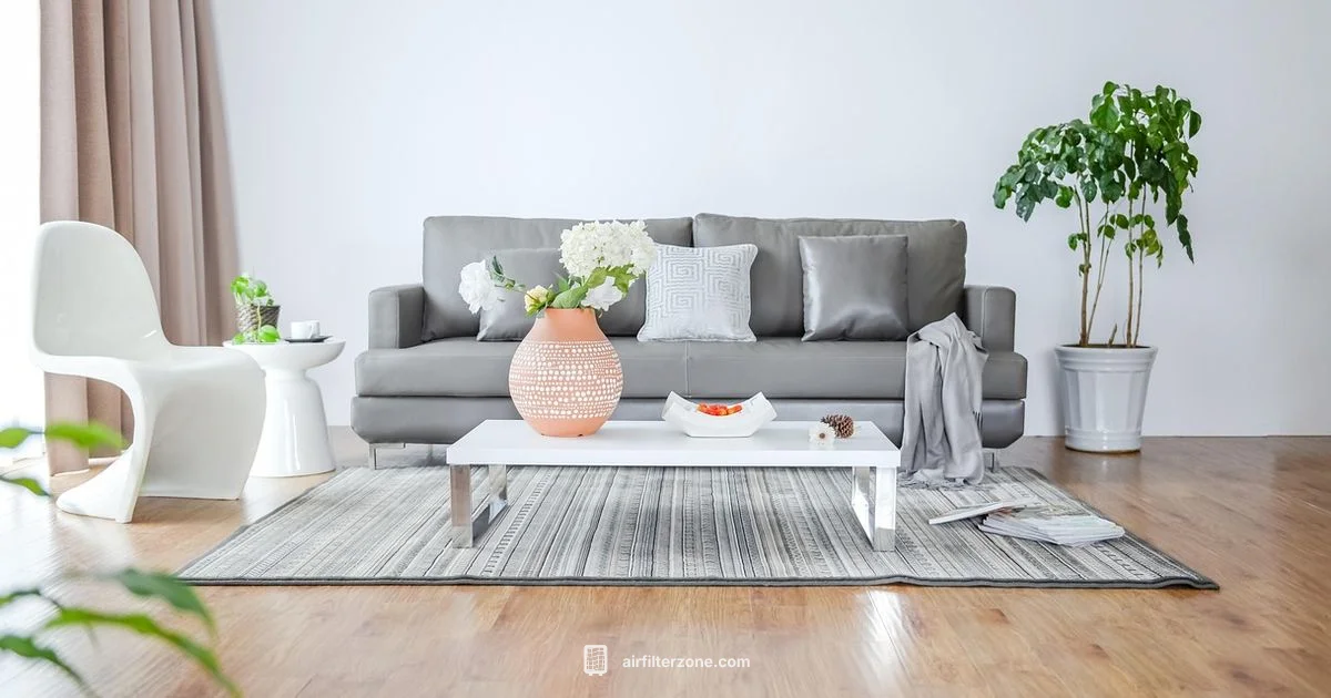 Allergy Relief Guide - Air Filter Zone