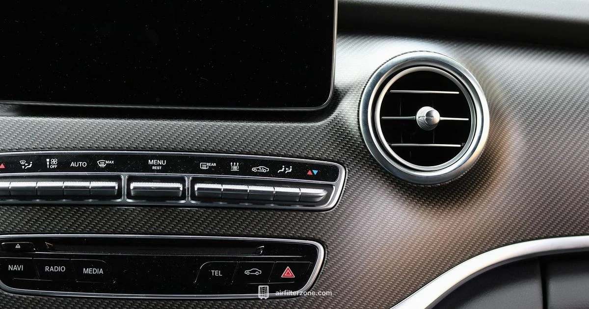 Carbon Air Filter Guide - Air Filter Zone