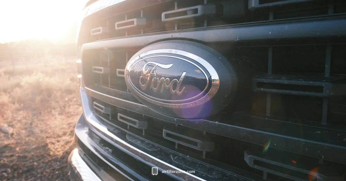 F-150 Cabin Filter - Air Filter Zone