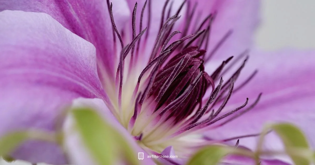 Air Filter Guide - Air Filter Zone