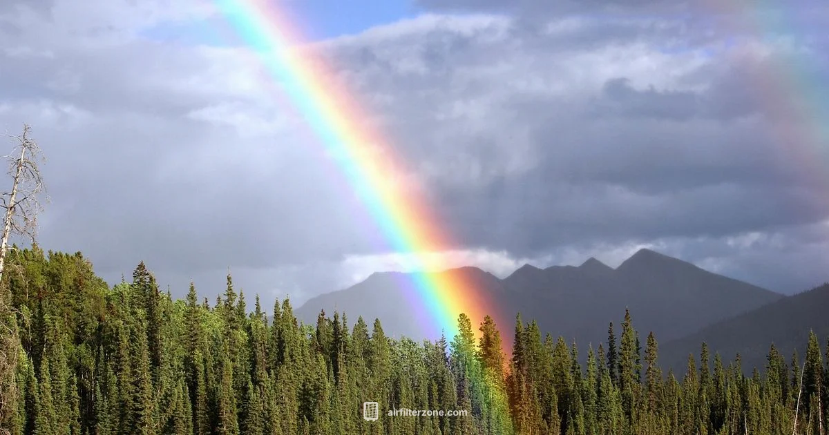 Rainbow Purifier Guide - Air Filter Zone