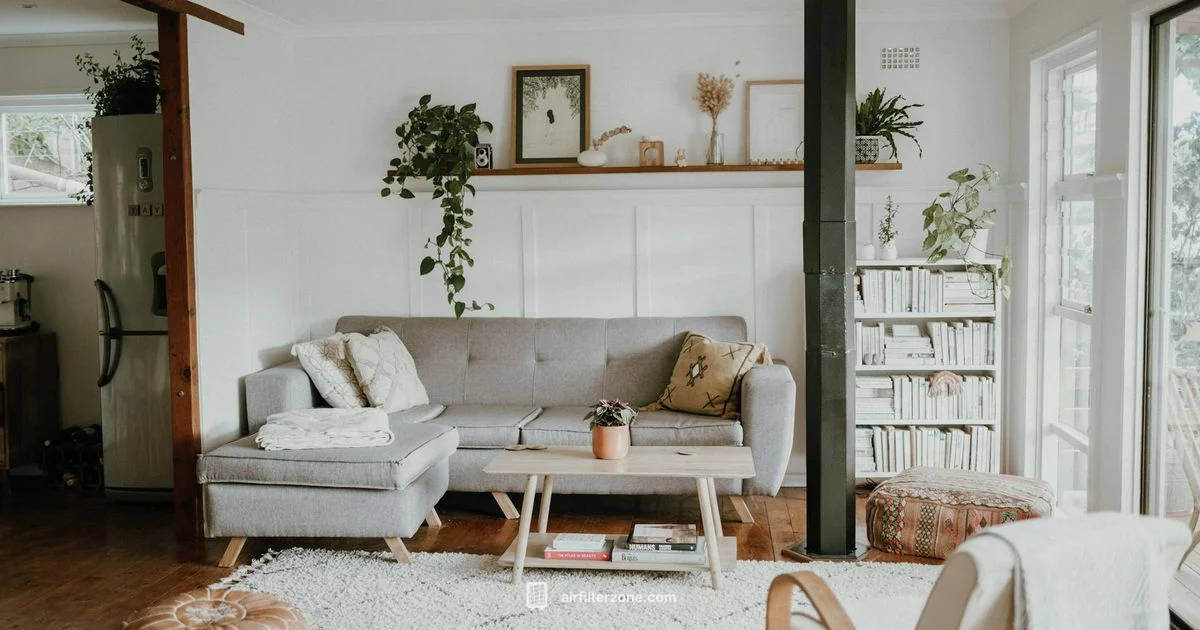 Oxygen Purifier Guide - Air Filter Zone