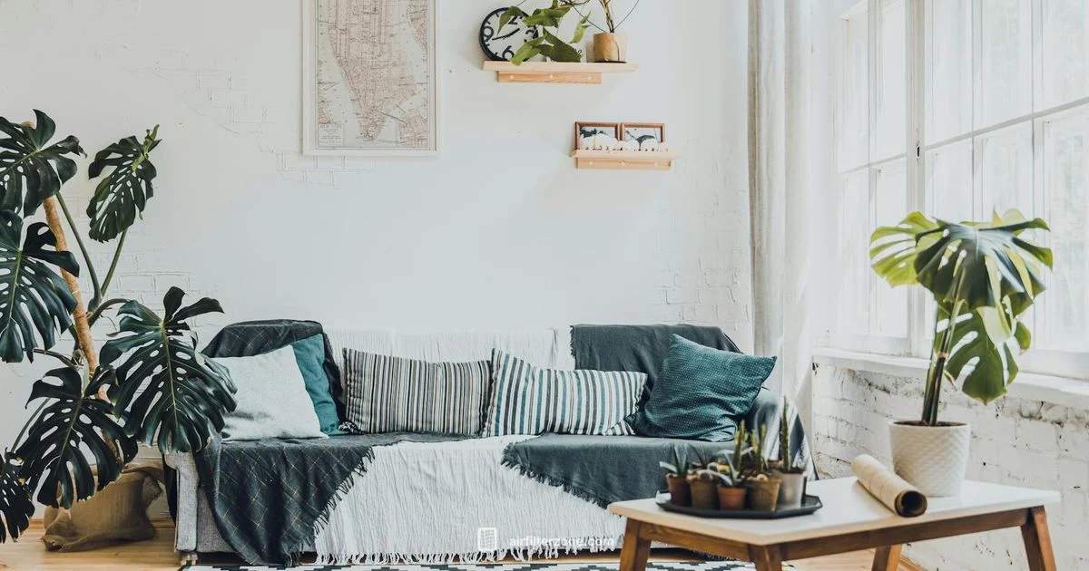 Fresh Air Purifier Guide - Air Filter Zone