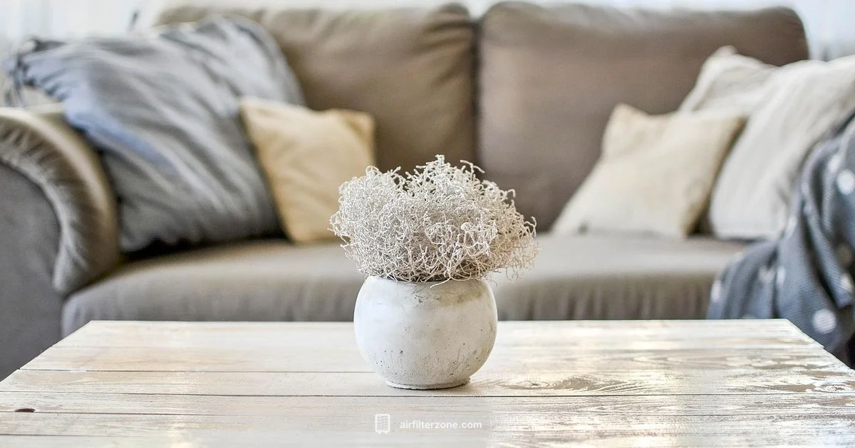 Vax Air Purifier Review - Air Filter Zone