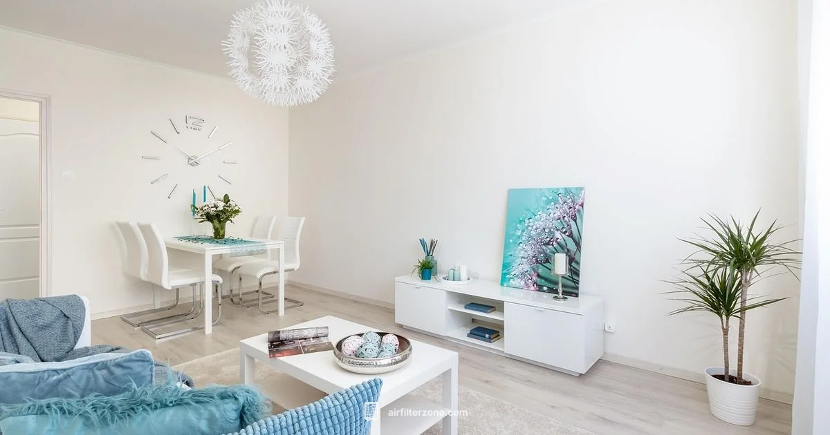 24/7 Purifier Guide 24/7 Purifier Guide - Air Filter Zone