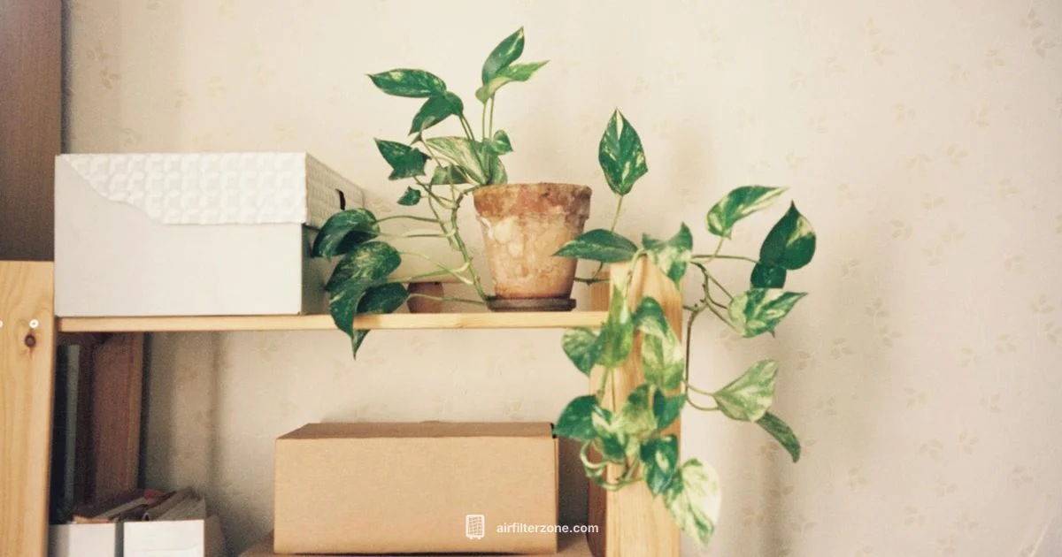 Levoit Core 400 Review - Air Filter Zone