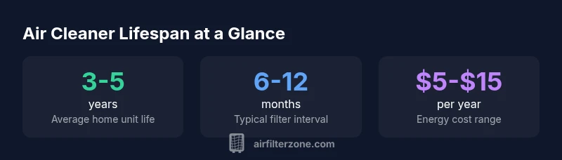 Infographic showing lifespan and maintenance of air cleaners