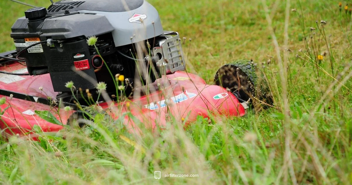 Clean Mower Filter Clean Mower Filter - Air Filter Zone