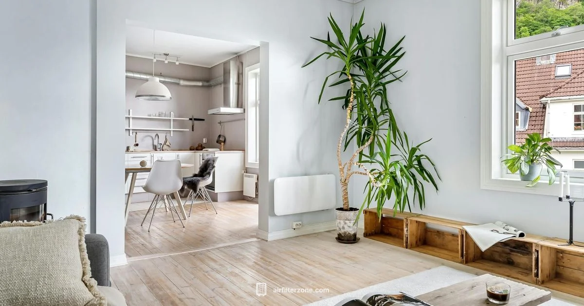 Bionaire Air Purifier Guide - Air Filter Zone