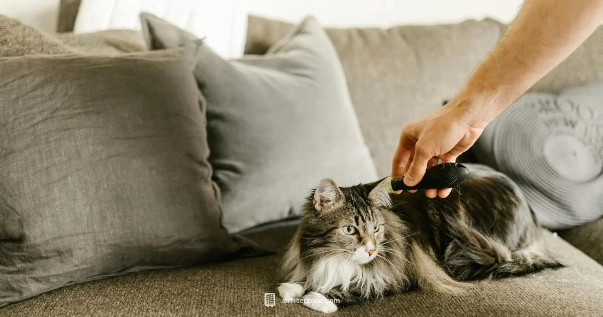 Cat Hair Clogs Filters Cat Hair Clogs Filters - Air Filter Zone