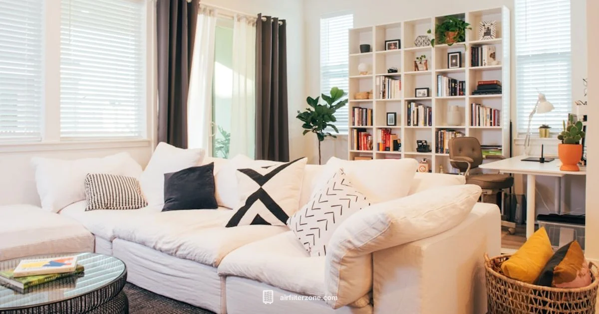 Purifier vs Dehumidifier - Air Filter Zone