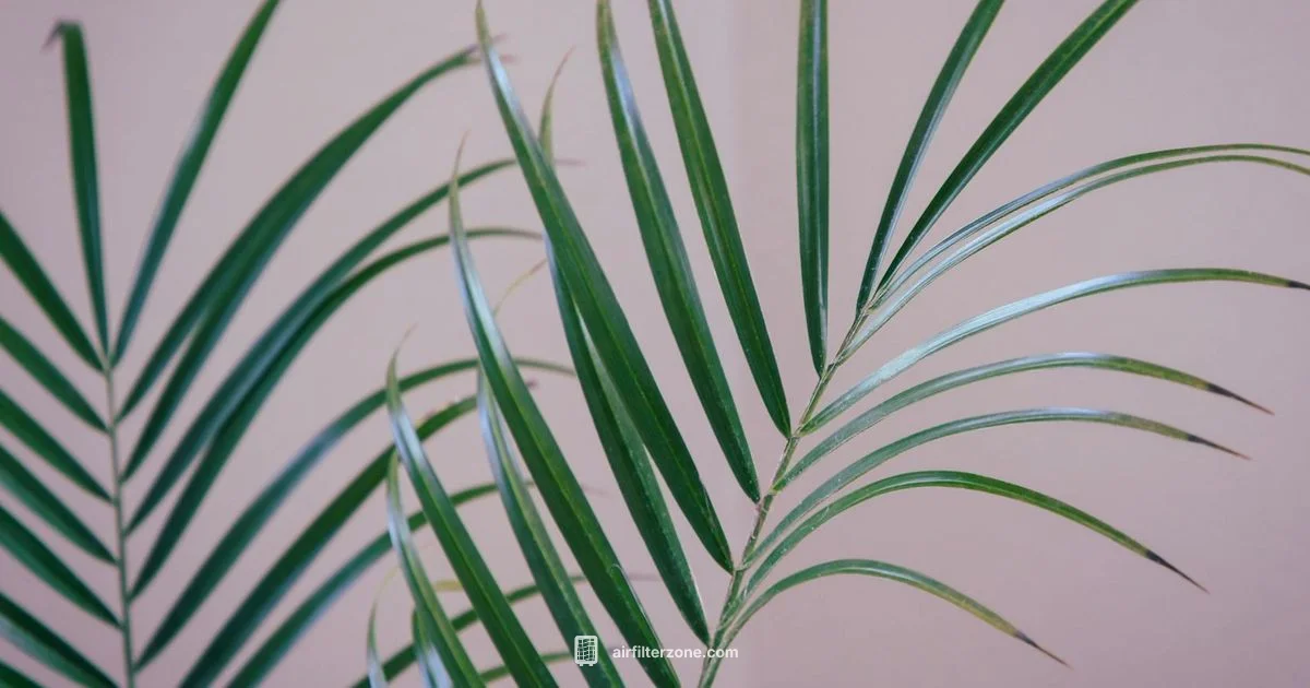 Air Cleaner Guide - Air Filter Zone