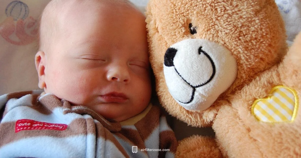 Baby Room Air Guide - Air Filter Zone