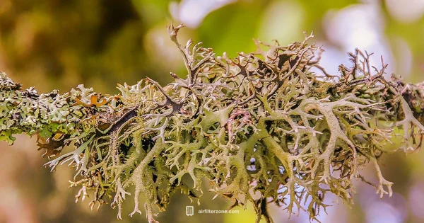 Colorfil Filter Guide - Air Filter Zone