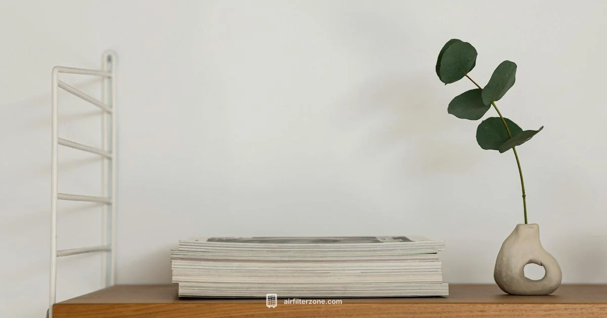 Mila Air Filter Guide - Air Filter Zone