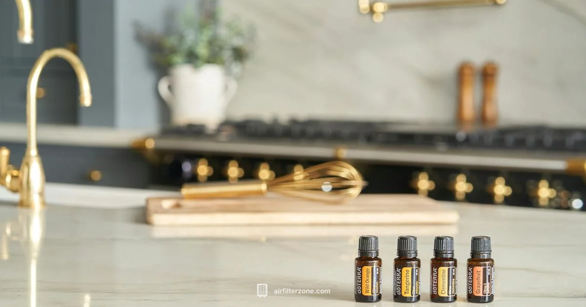 Rainbow Purifier Guide - Air Filter Zone