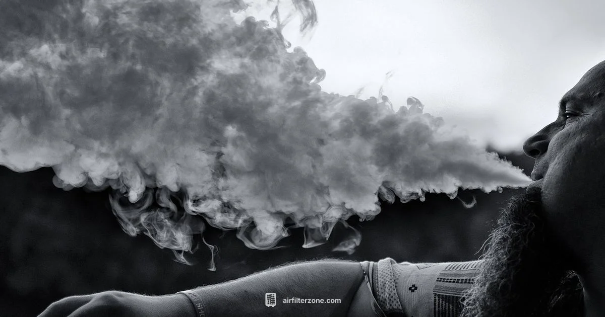 Cigarette Smoke Filter Cigarette Smoke Filter - Air Filter Zone