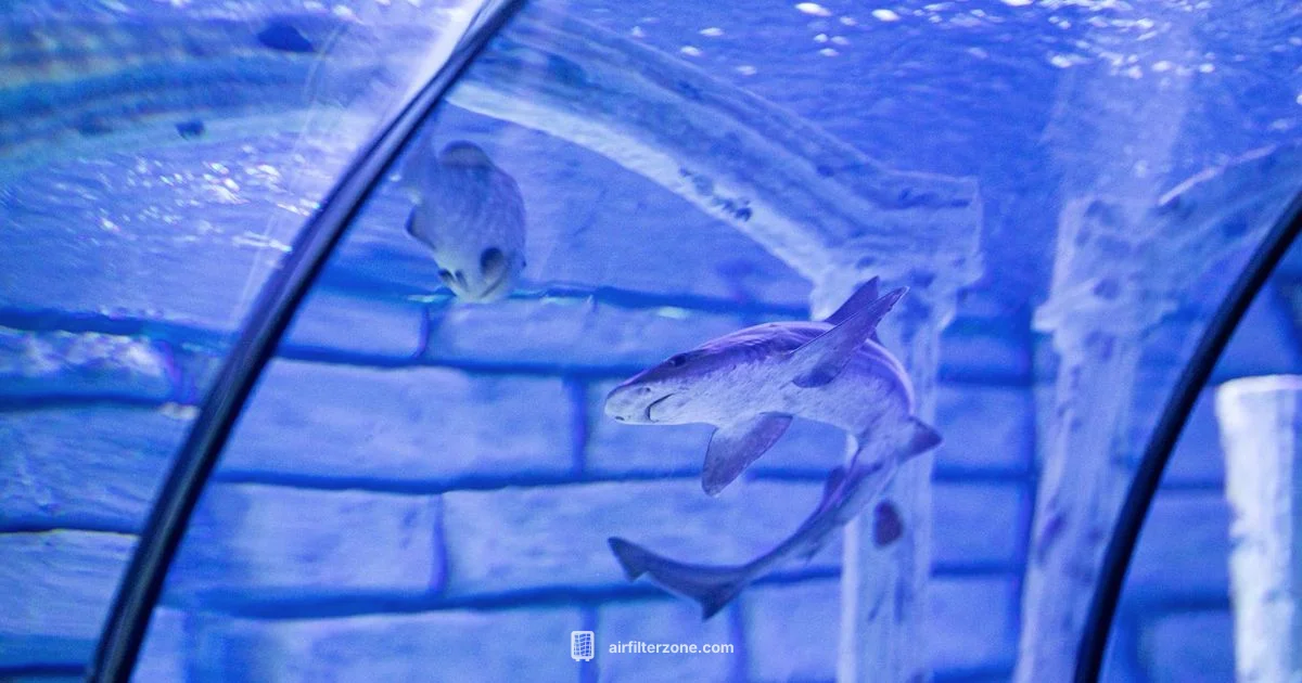 Shark Filter Guide Shark Filter Guide - Air Filter Zone