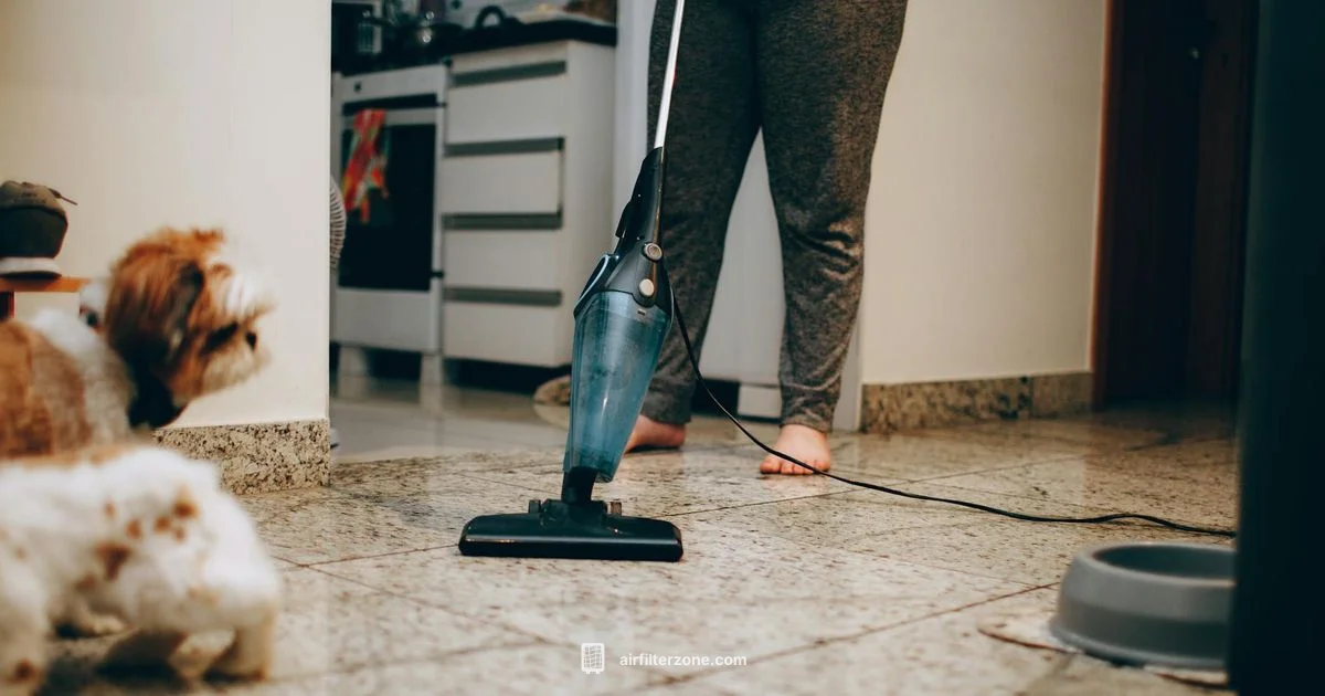 Pet Purifier Guide - Air Filter Zone