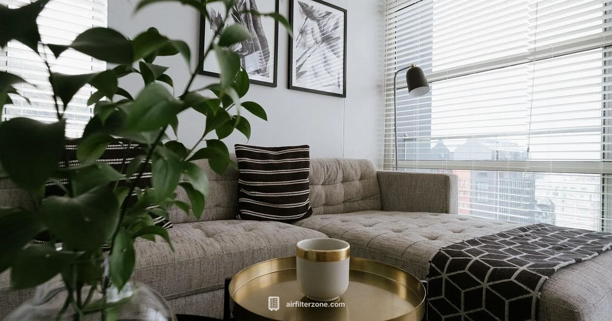 Clean Air, Easy - Air Filter Zone