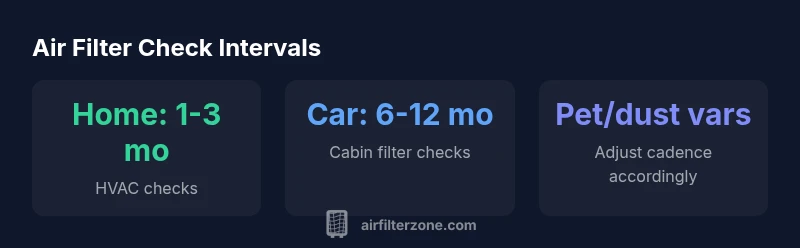 Infographic showing check intervals for home and car air filters