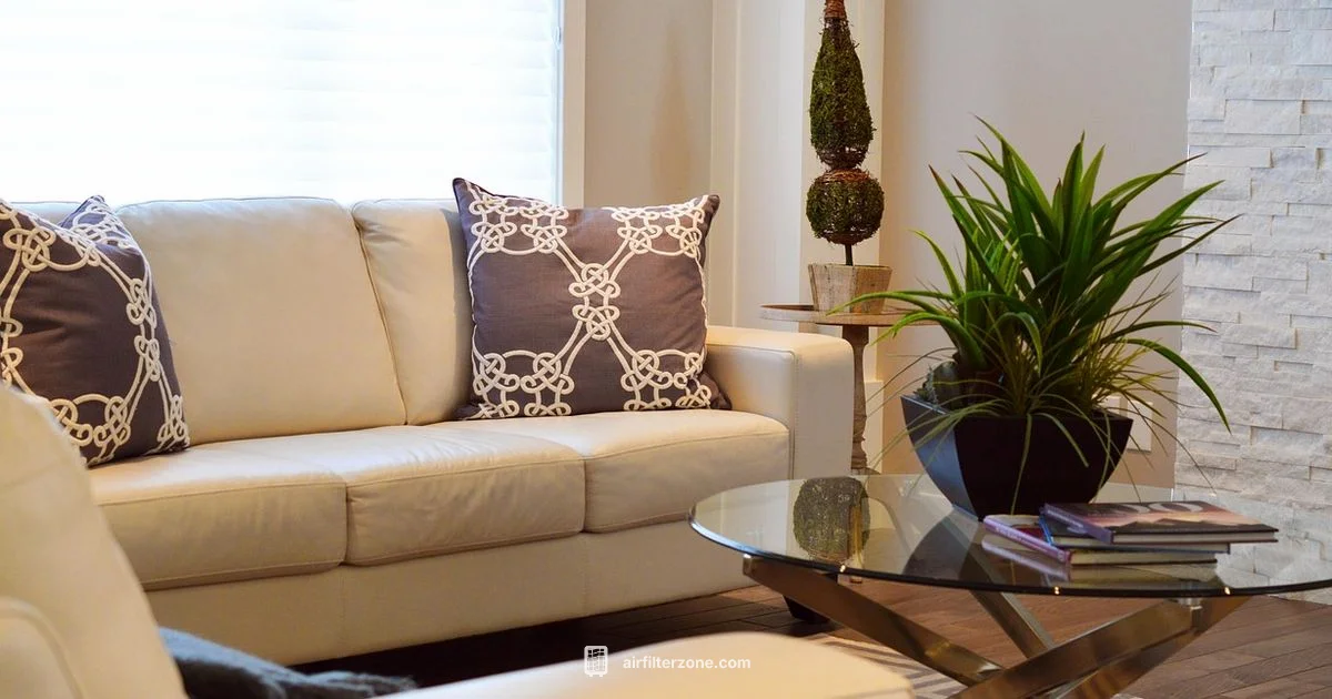 Air Quality Upgrade Air Quality Upgrade - Air Filter Zone