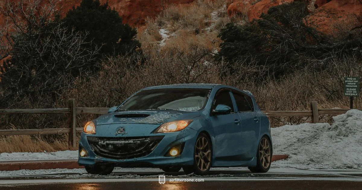 Fresh Cabin Air - Air Filter Zone