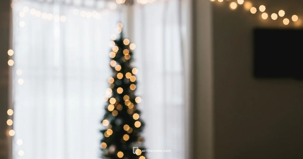 Hokeki Purifier Guide - Air Filter Zone