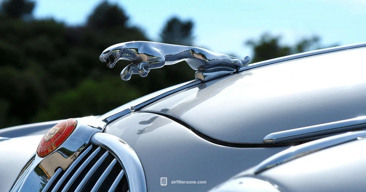 Cabin Filter Lifespan - Air Filter Zone