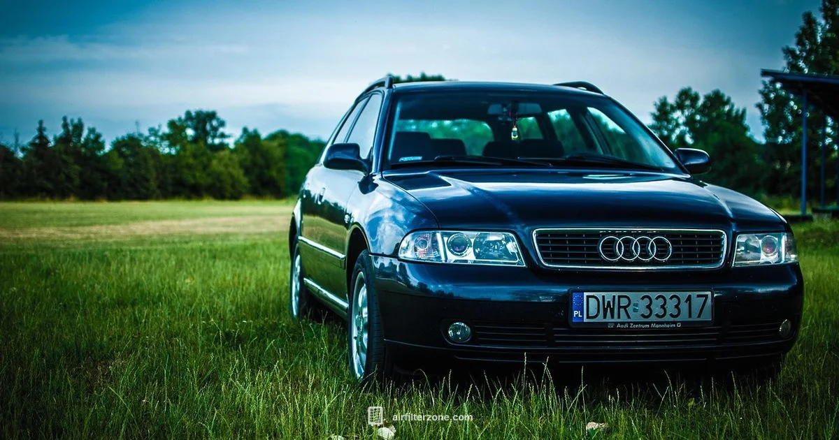 Clean Cabin Air - Air Filter Zone