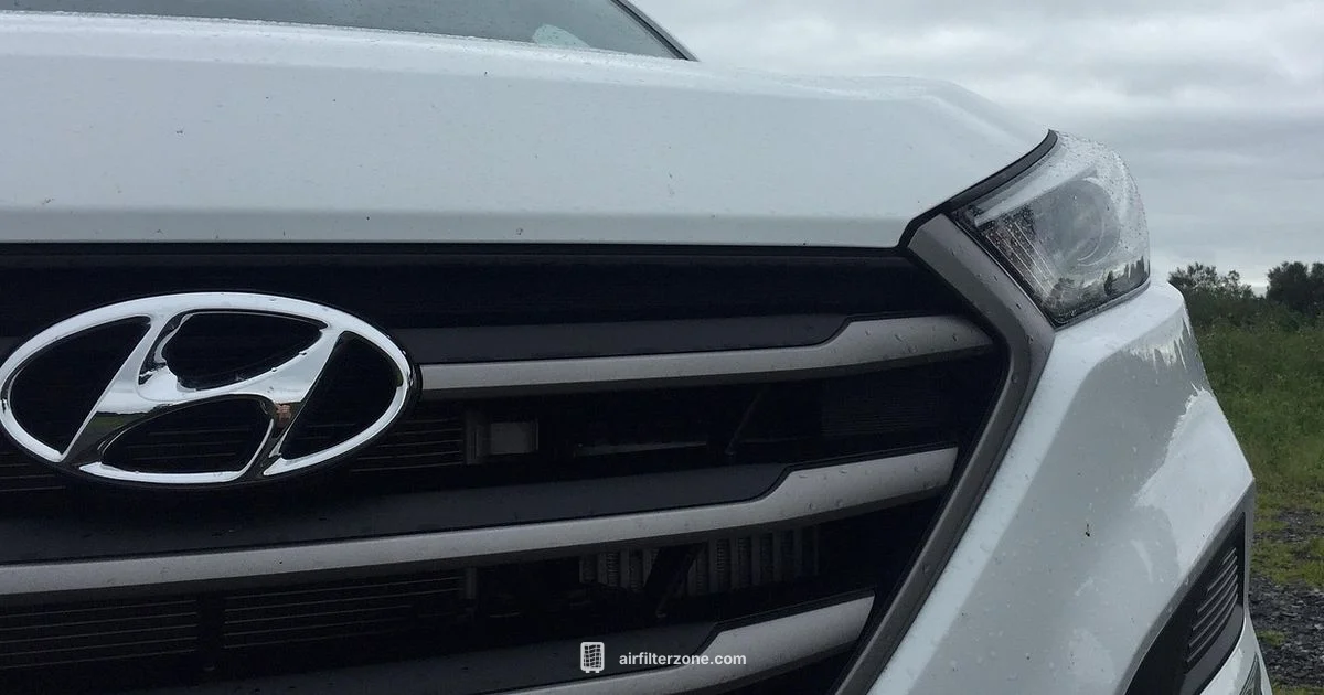 Elantra Air Filter - Air Filter Zone