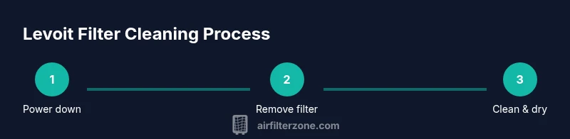 Process diagram for cleaning Levoit air filter