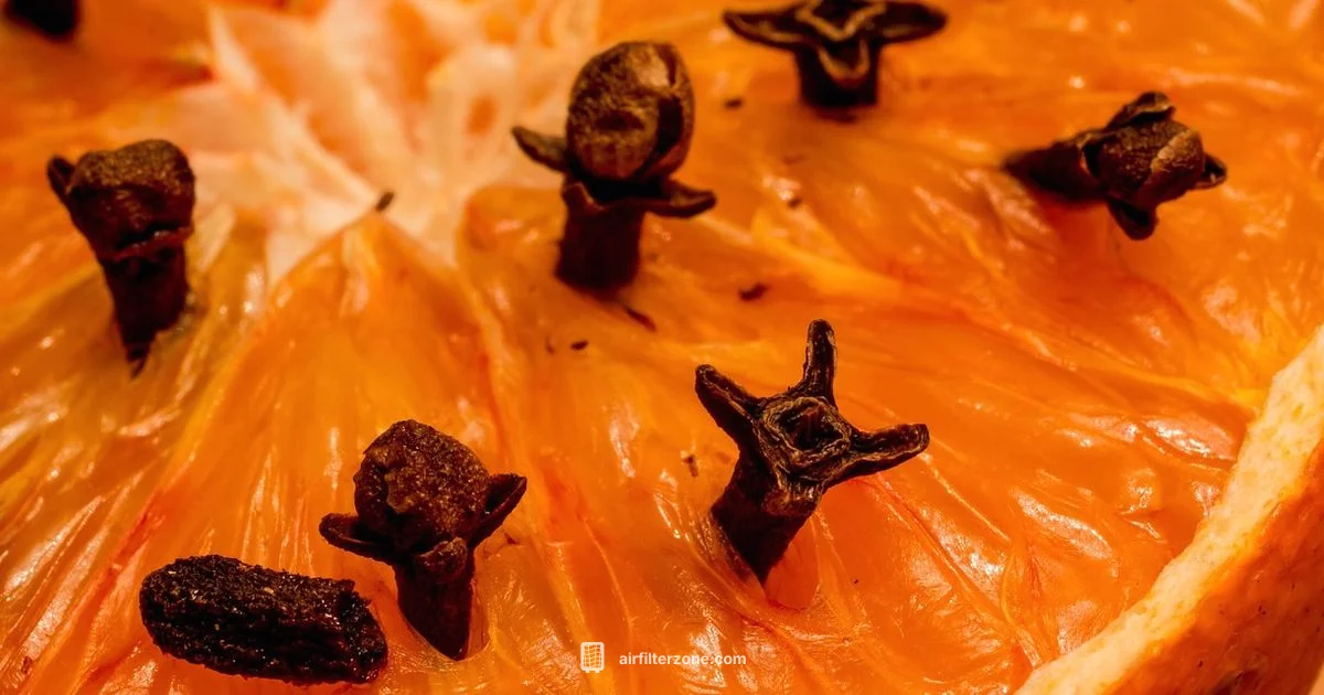 Fresh Indoor Air - Air Filter Zone