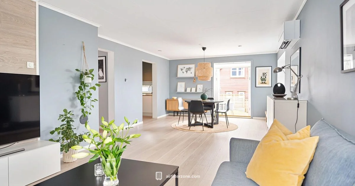 Air Purifier Guide - Air Filter Zone