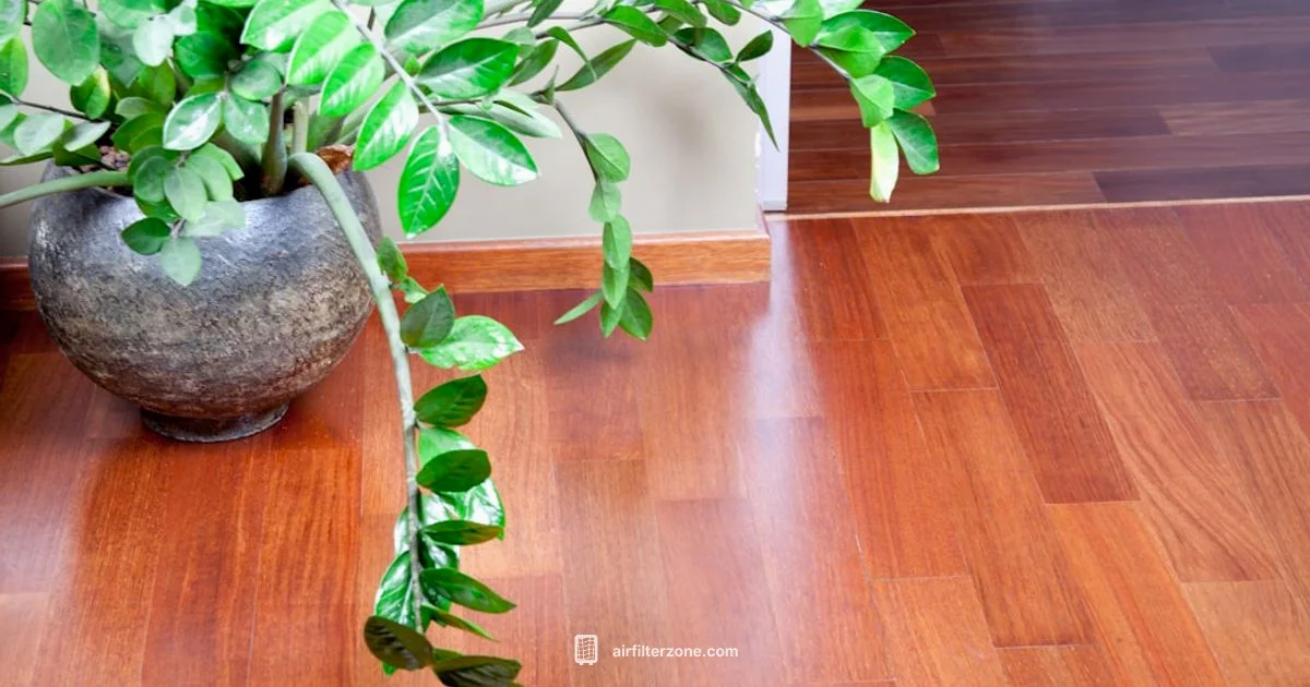 Room Airflow Tips Room Airflow Tips - Air Filter Zone