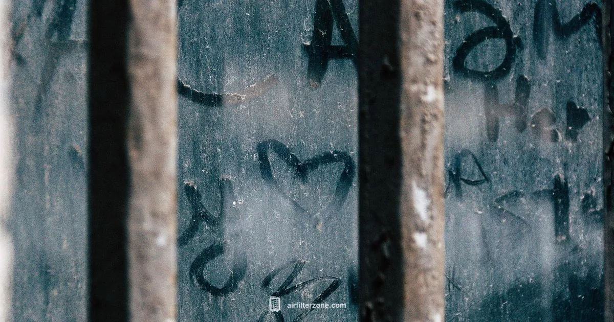 Window Dust Filter Guide - Air Filter Zone