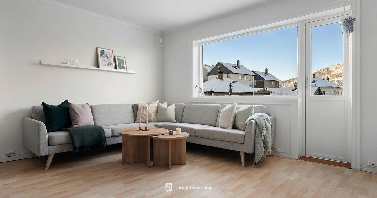 Ionizer Air Filter Guide Ionizer Air Filter Guide - Air Filter Zone